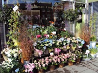 The Flower Shop Bromley   Florist 289929 Image 1